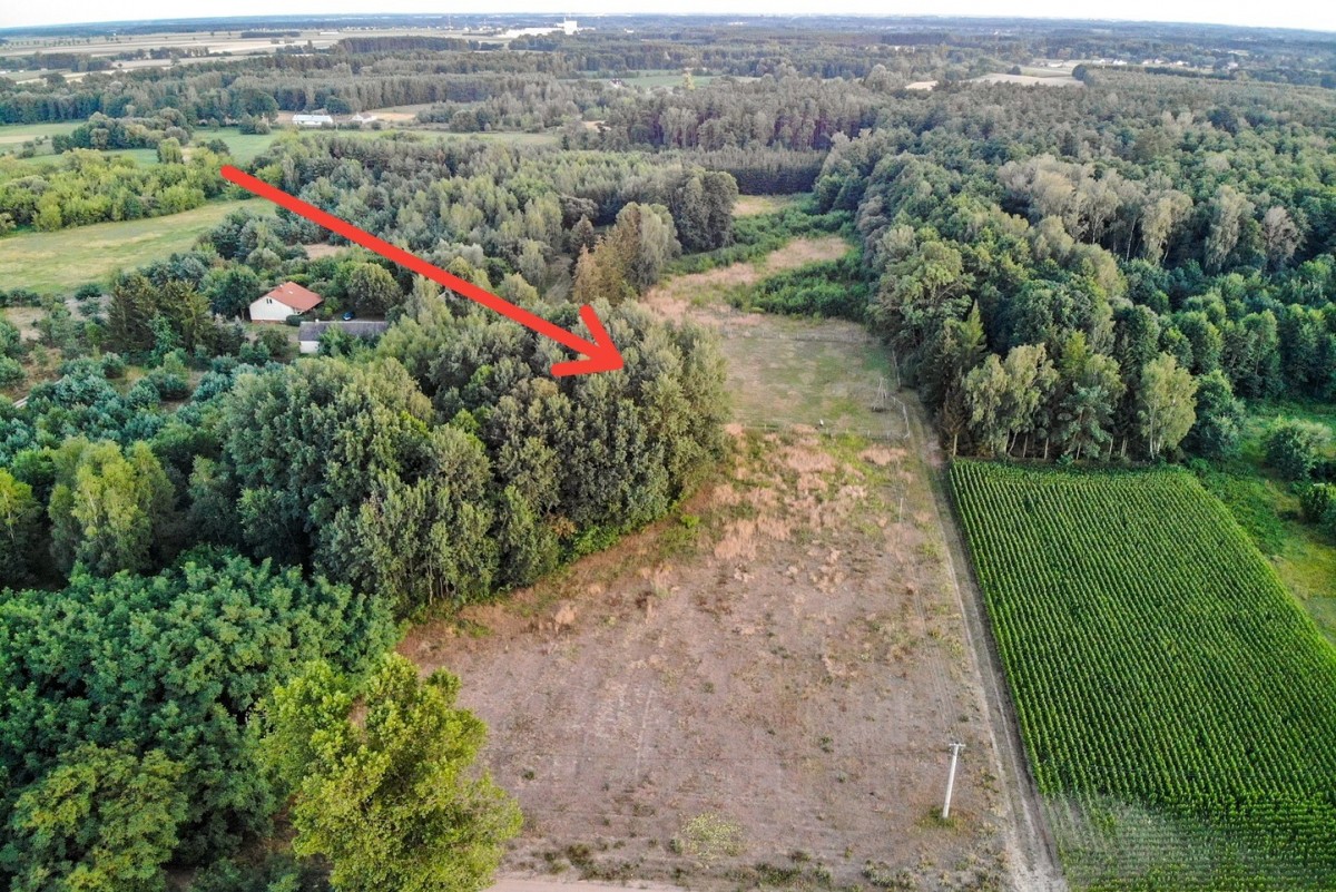 Działka nad Wkrą! Cisza, natura. Rolna/pastewiska