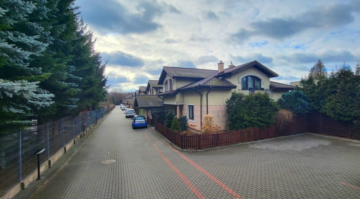 23307431