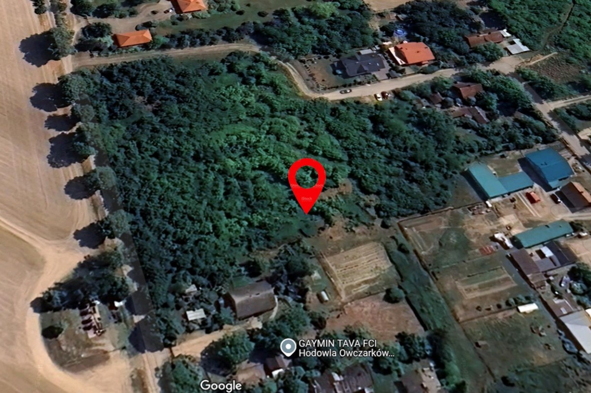 Urocza działka w lesie nad Wisłą