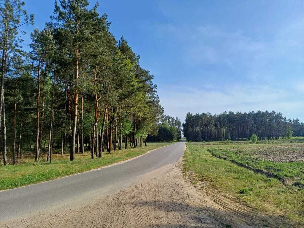Dziaka rolno budowlana Gocaw gmina Pilawa