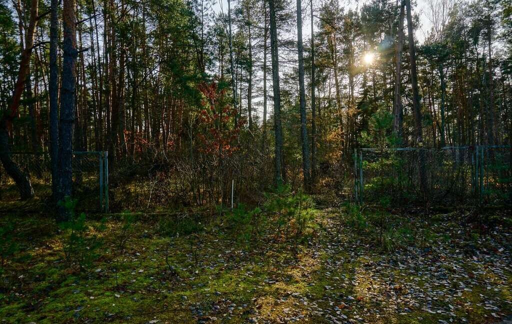 23746104