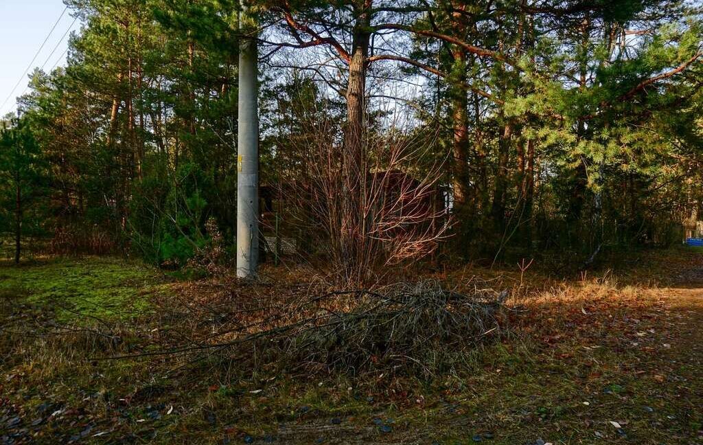 23746105