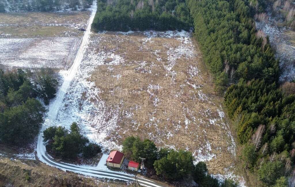 23782254
