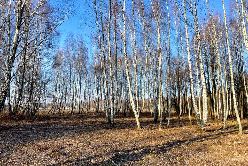 Działka Budowlana 2324 m2 Bieganów gm. Jaktorów