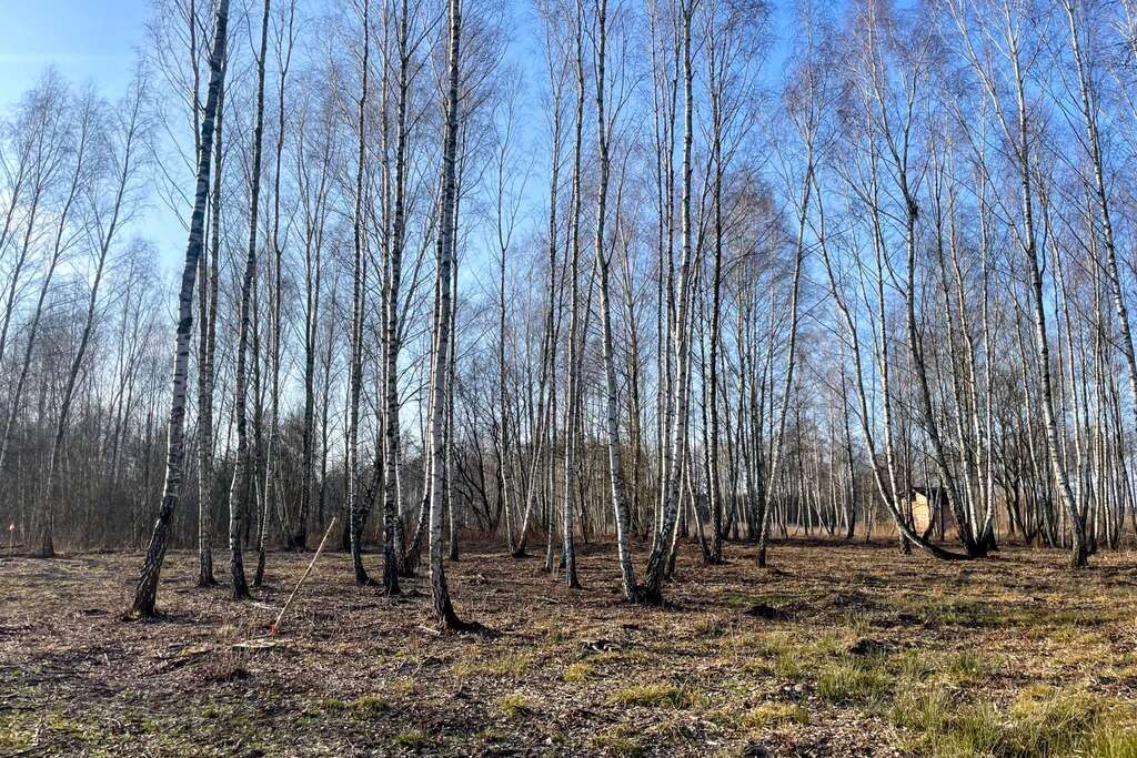 Działka Budowlana 1996 m2 Bieganów gm. Jaktorów
