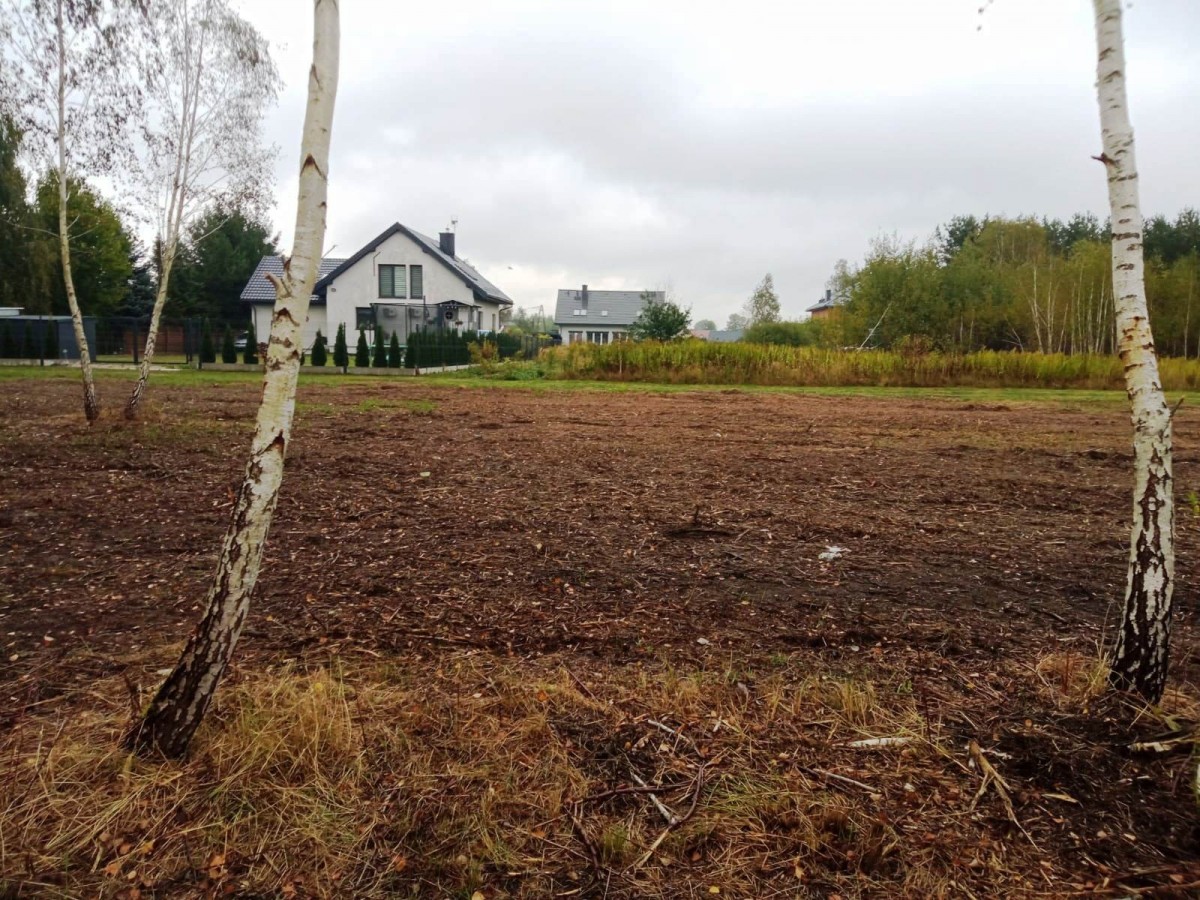 Dębe Wielkie  – Na sprzedaż