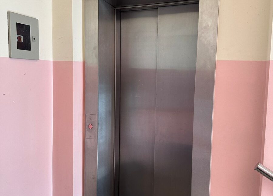 23531744