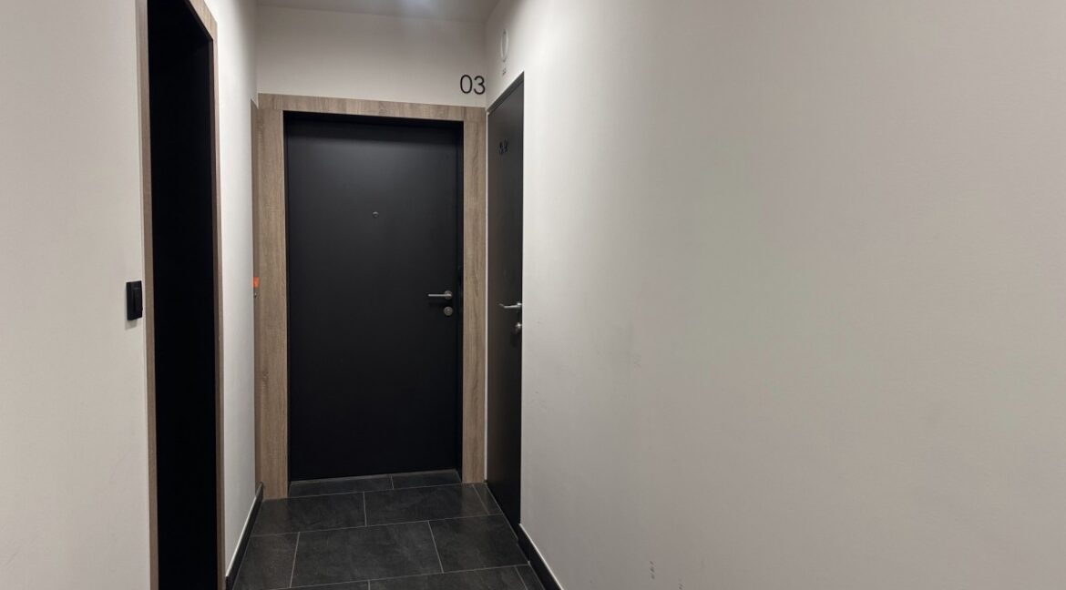 23698638
