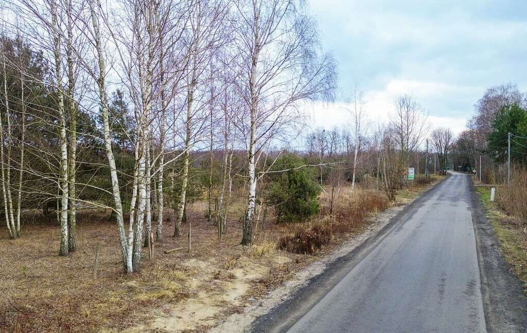 23820281