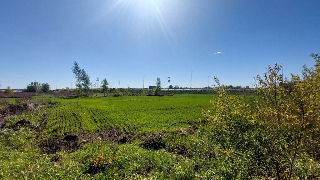 Sprawdź >>> Działka inwestycyjna – Najem -1,1Ha