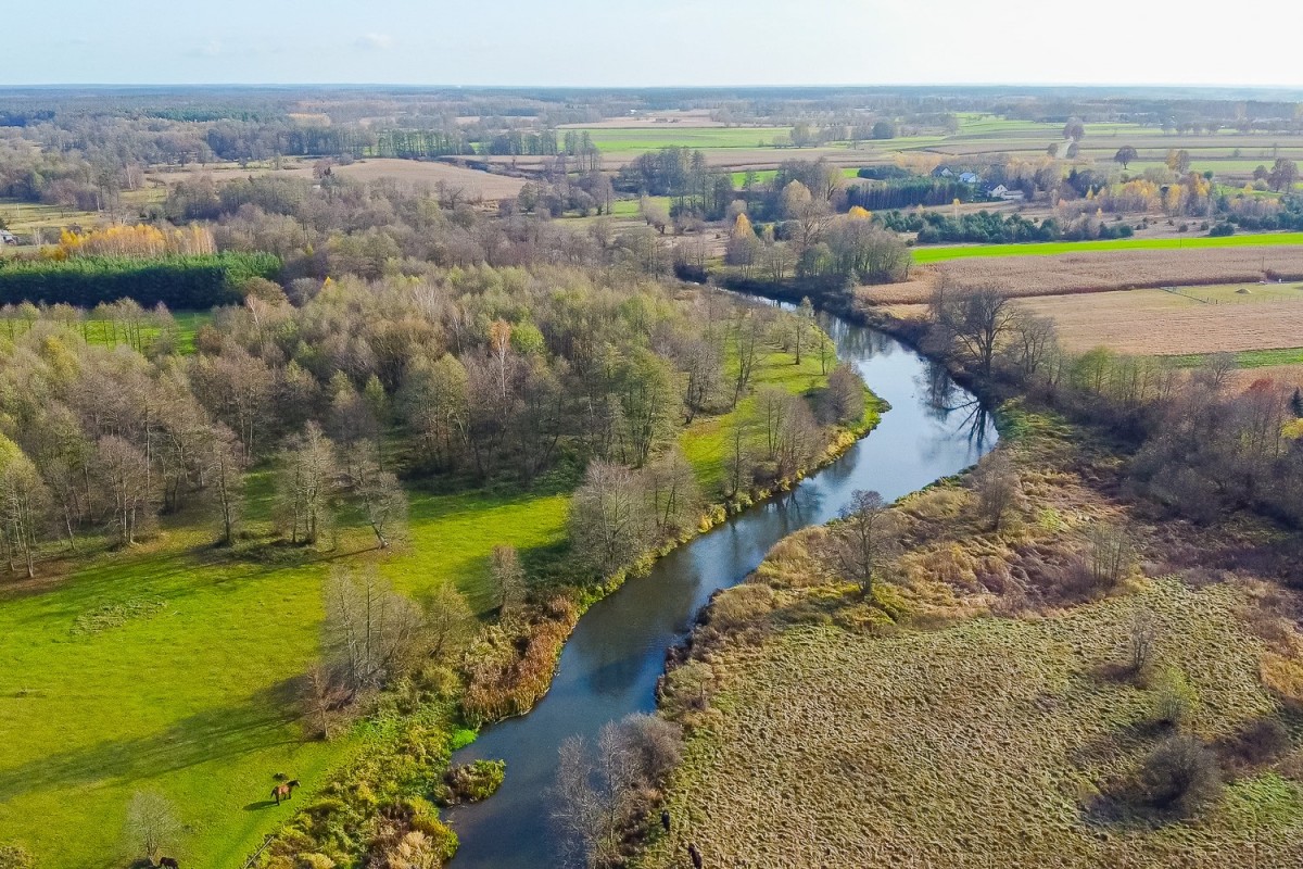 Warunki zabudowy na 12 domów, linia brzegowa Wkry