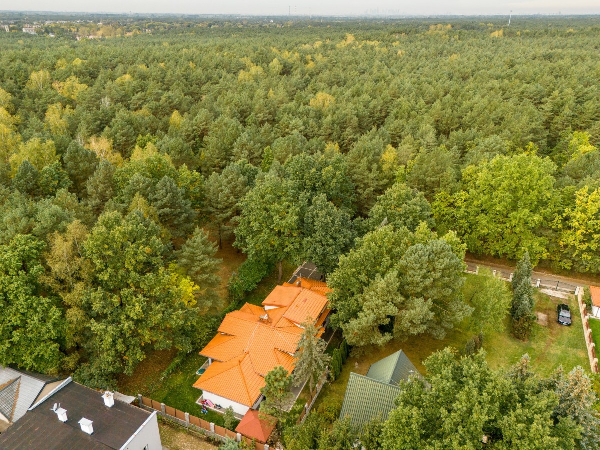 Dom wolnostojący na skraju lasu