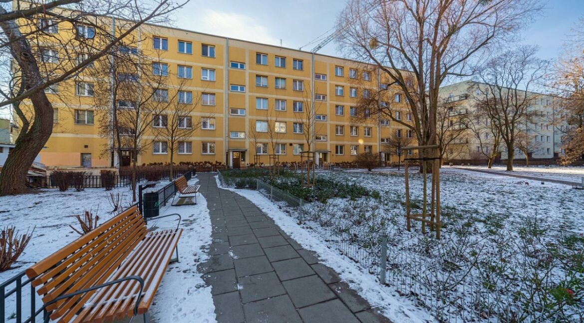 23365403