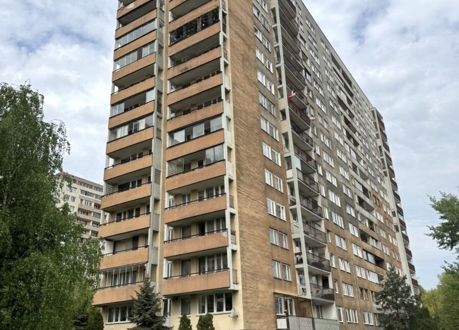 23635358