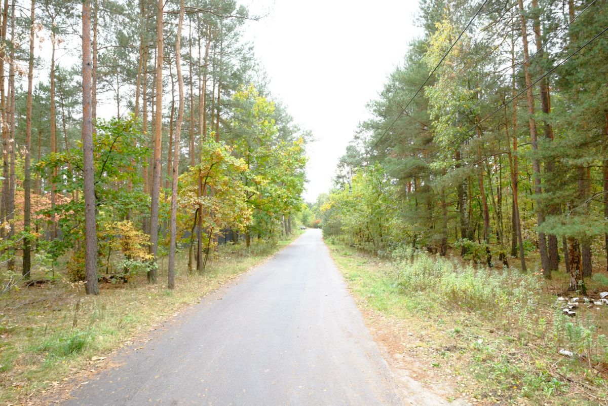 Białołęka Dworska – Urokliwa Mała Działka w Lesie