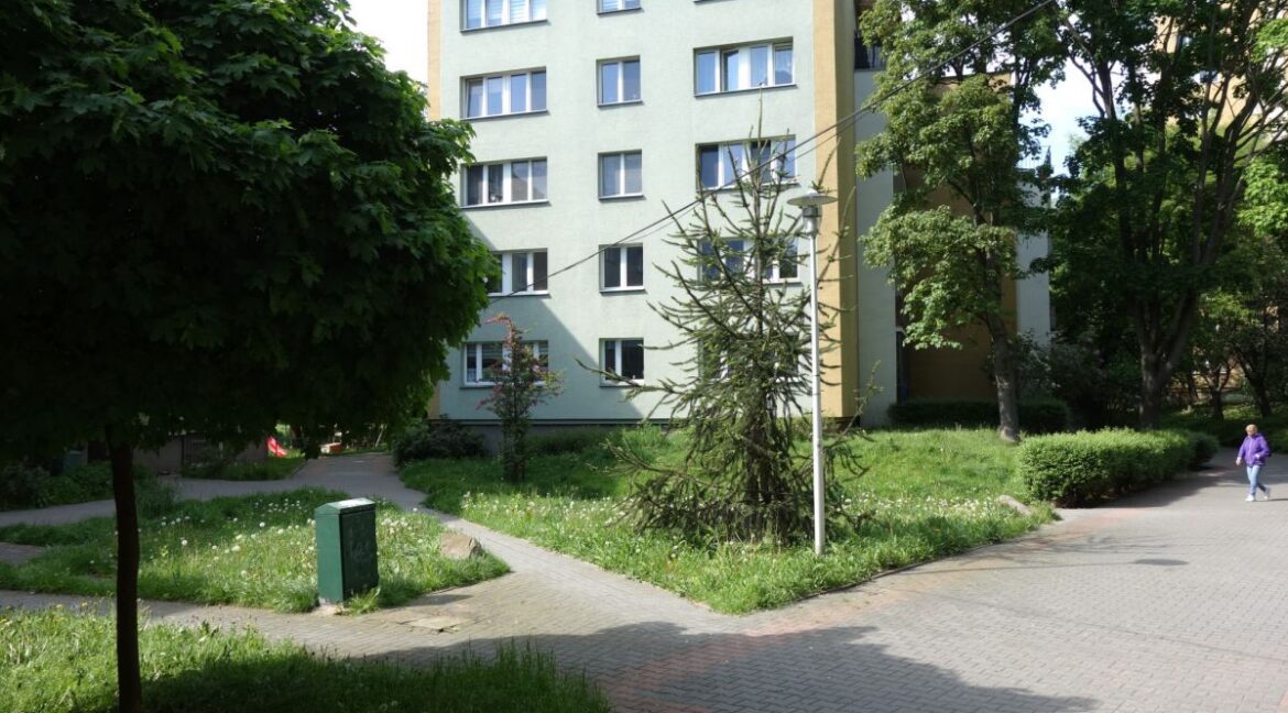 23690822