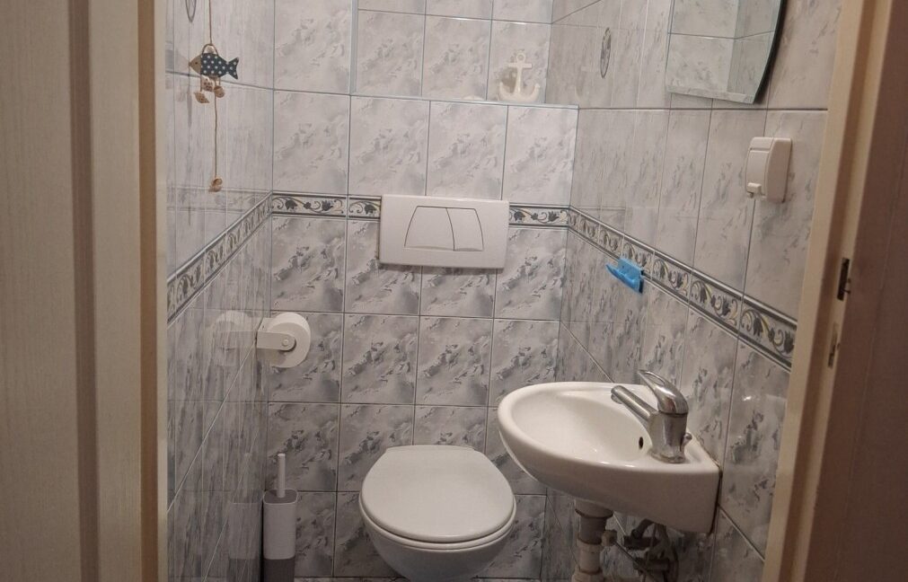 23692894