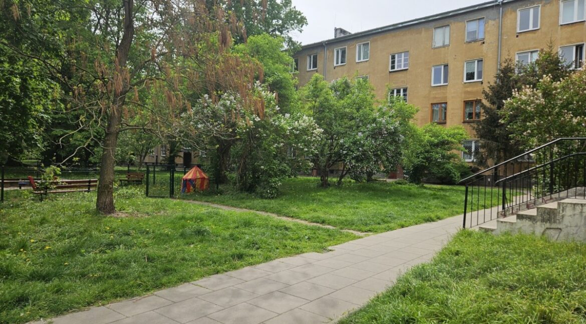 23698194
