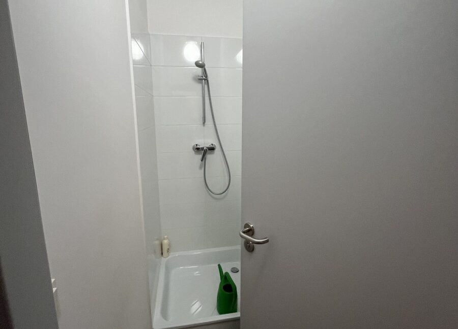 23699982