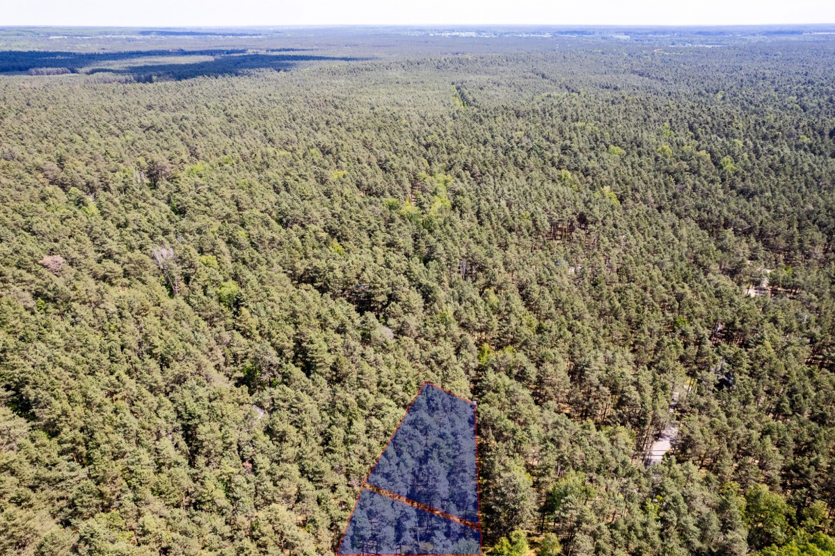 Działka w Wildze – rodzinny azyl z dala od miasta