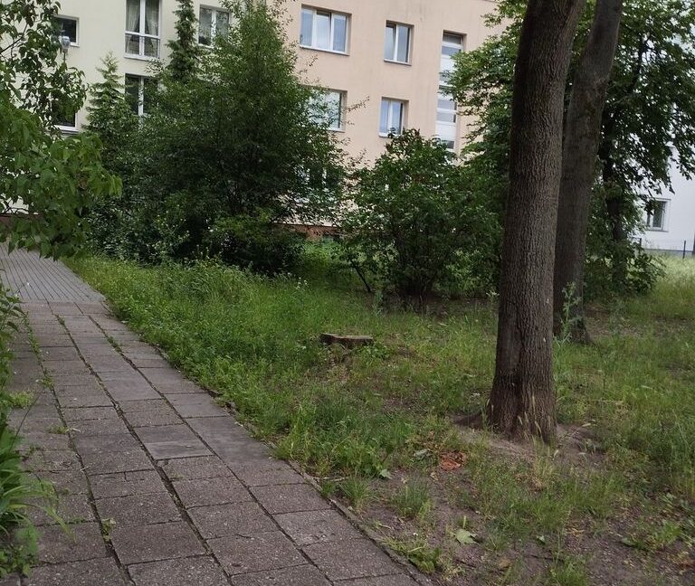23858845