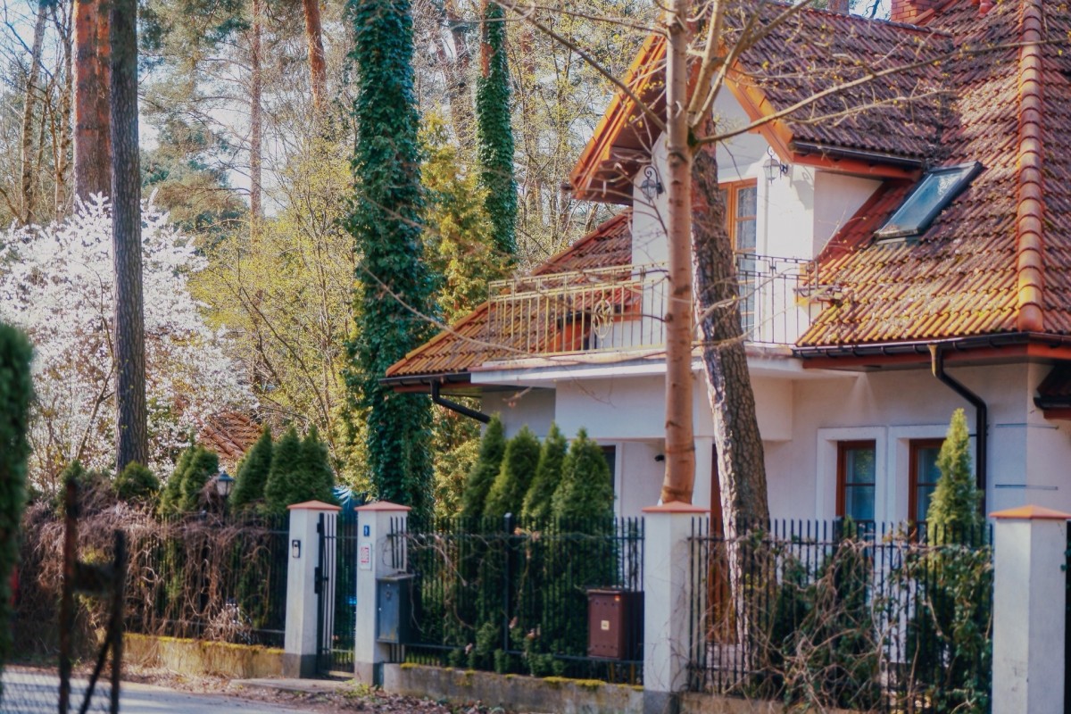 PODKOWA LEŚNA premiera sprzedaży 31.05.2025