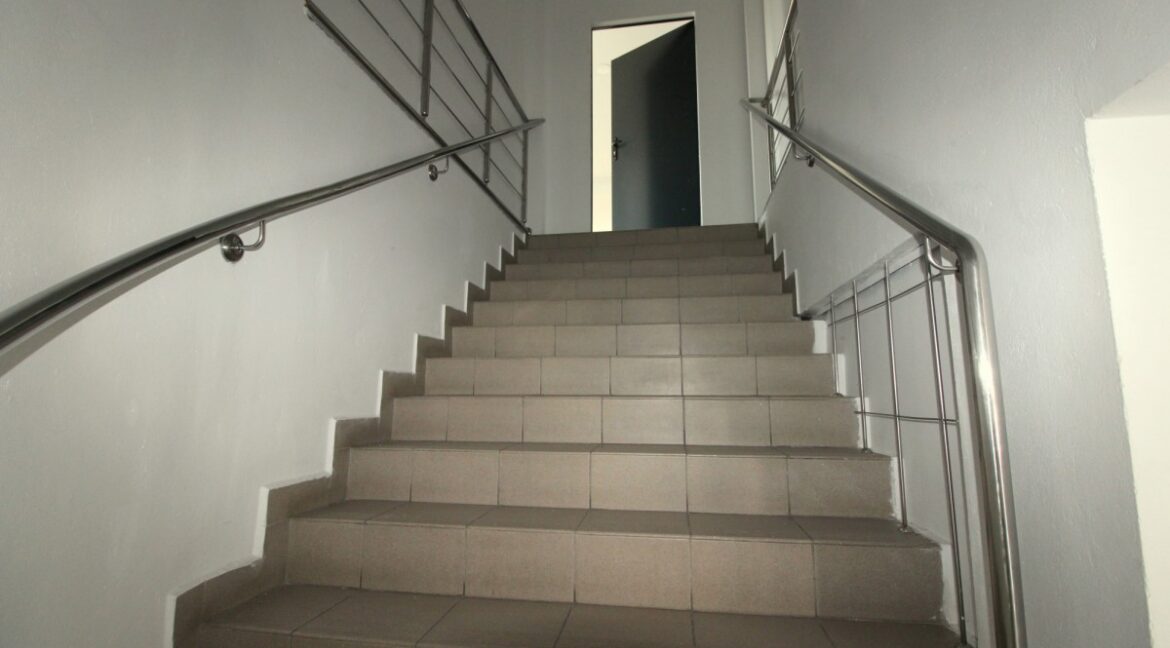 23655297
