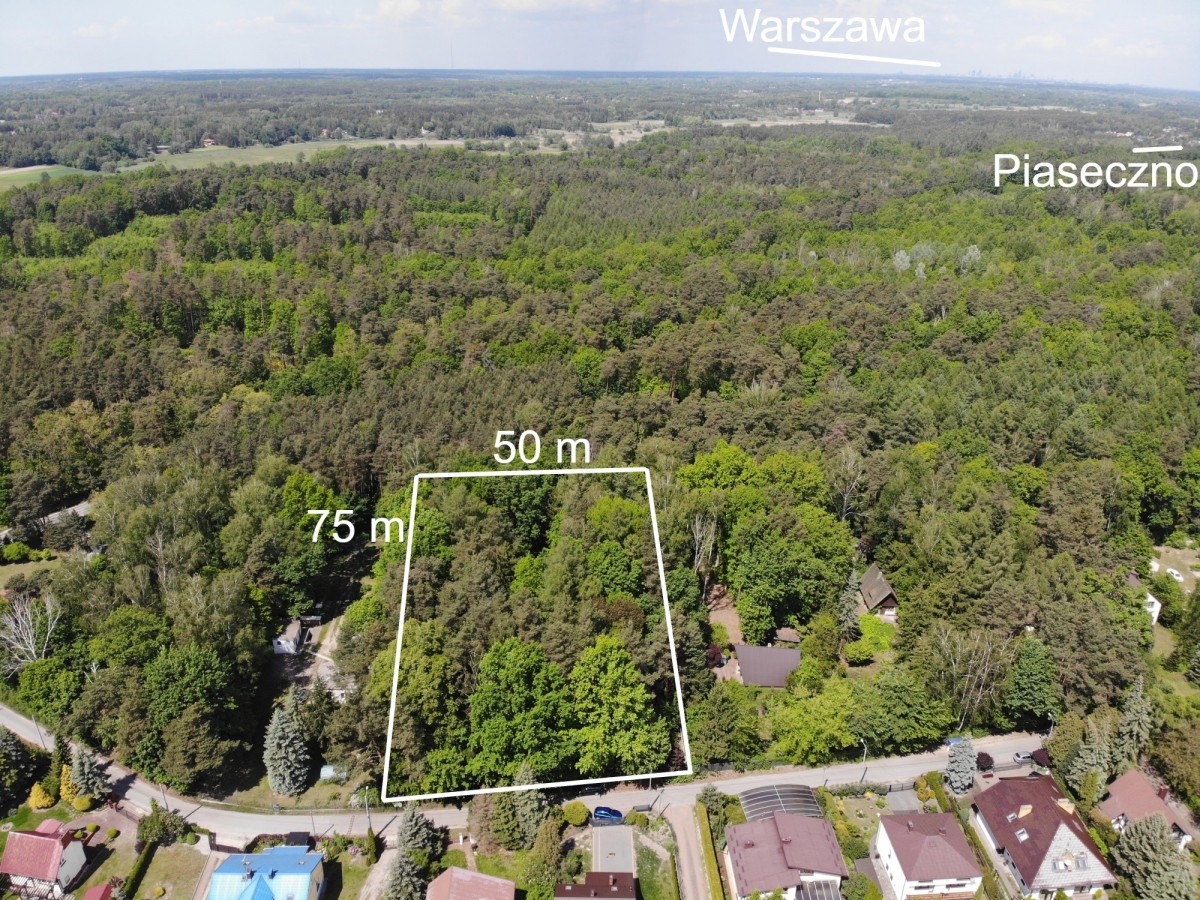 3800 m2 Las, Łoś, Cisza, 20min na Mokotów