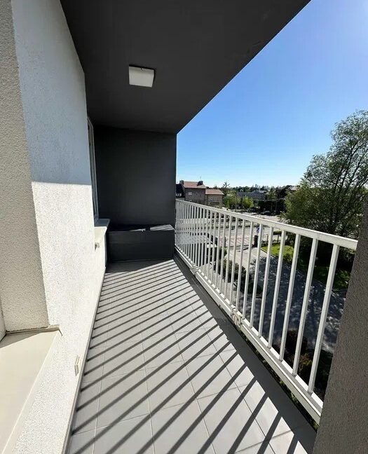 23753440