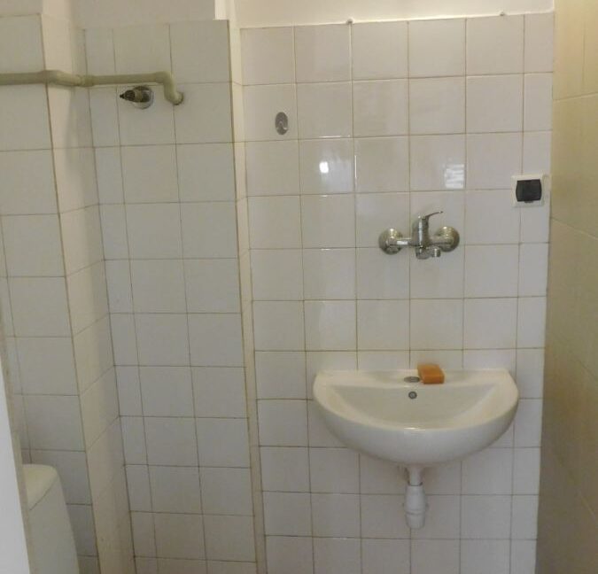 23804516