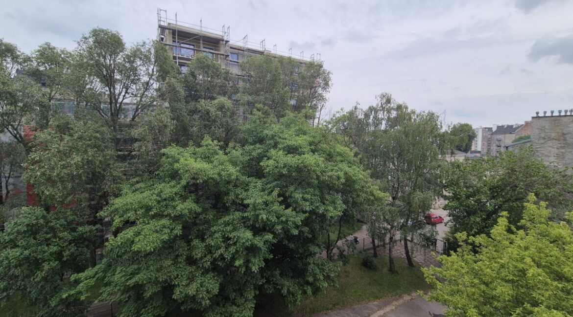 23806557