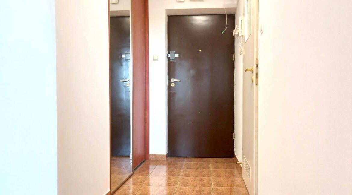 23809445