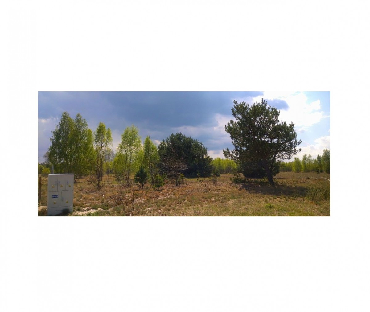 Ostrybór | działka 3000 m2, są warunki zabudowy