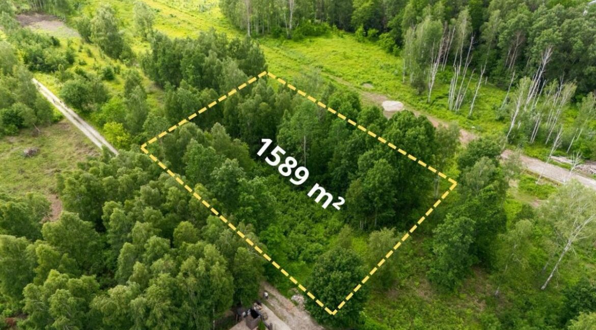 23843247