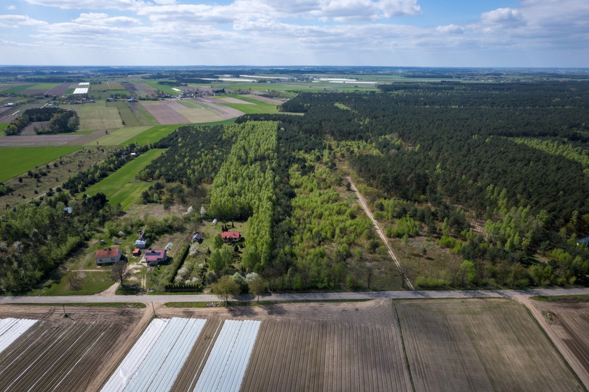 Działki z wydanymi warunkami zabudowy w Ludwikowie