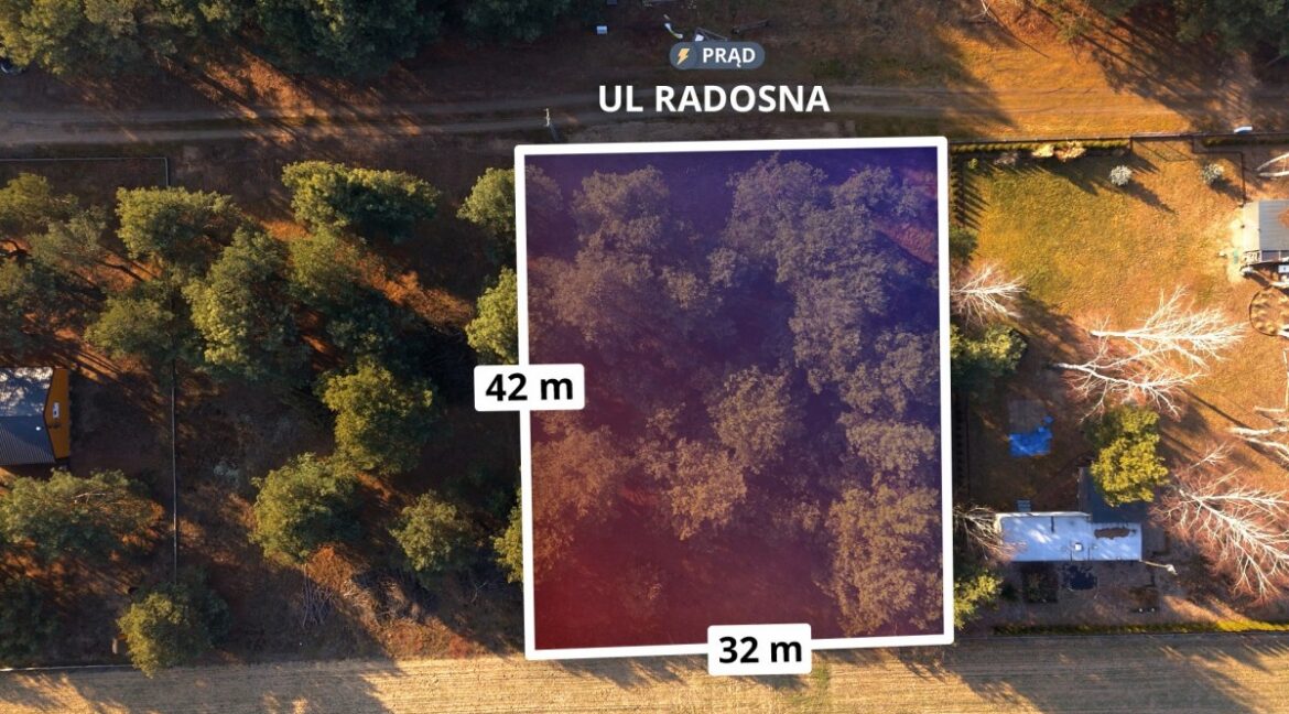 23936990