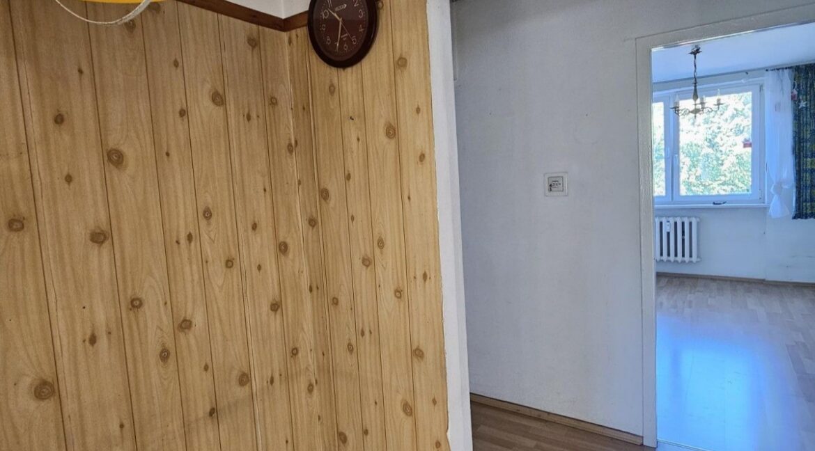 23944547
