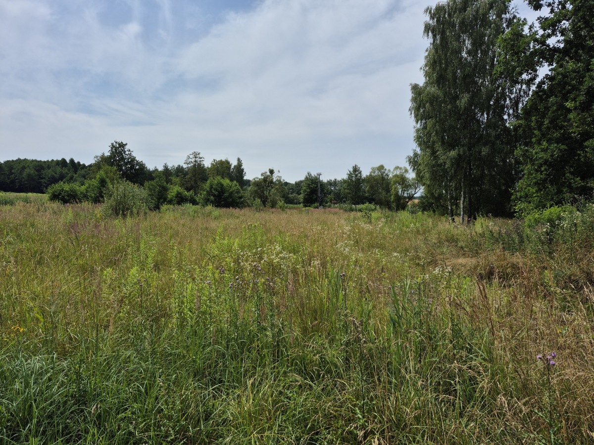 Grzegorzewice  – Na sprzedaż
