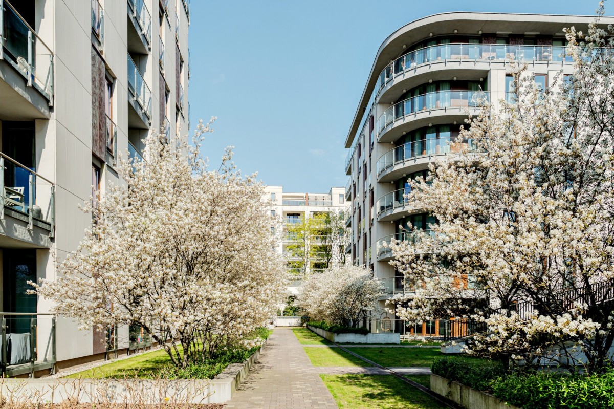 Kruczkowskiego, wys. 3 m., 2 miejsca