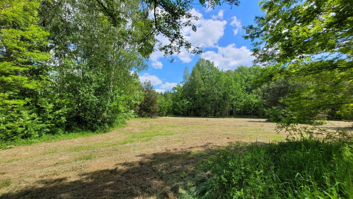 DUŻA DZIAŁKA Z MPZP