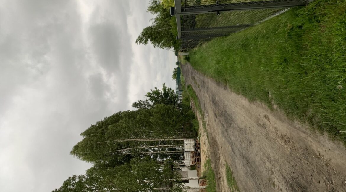 23892412