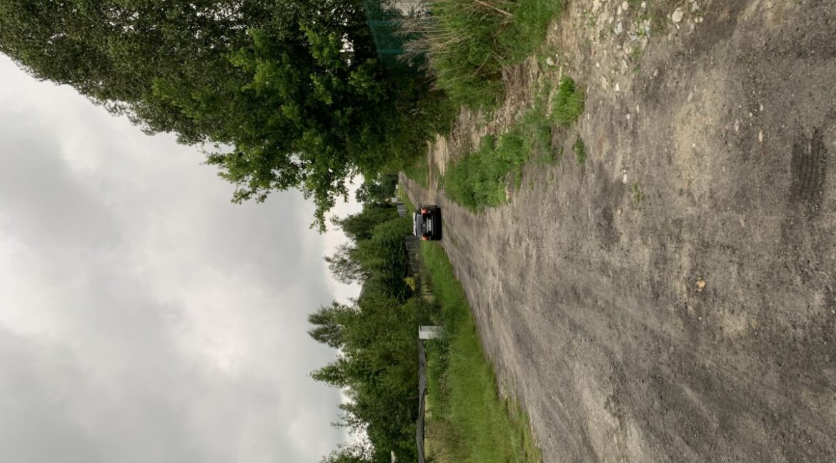 23892415