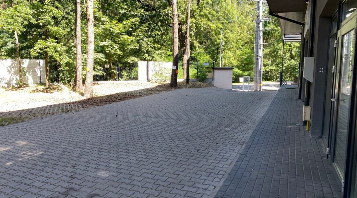 23928355