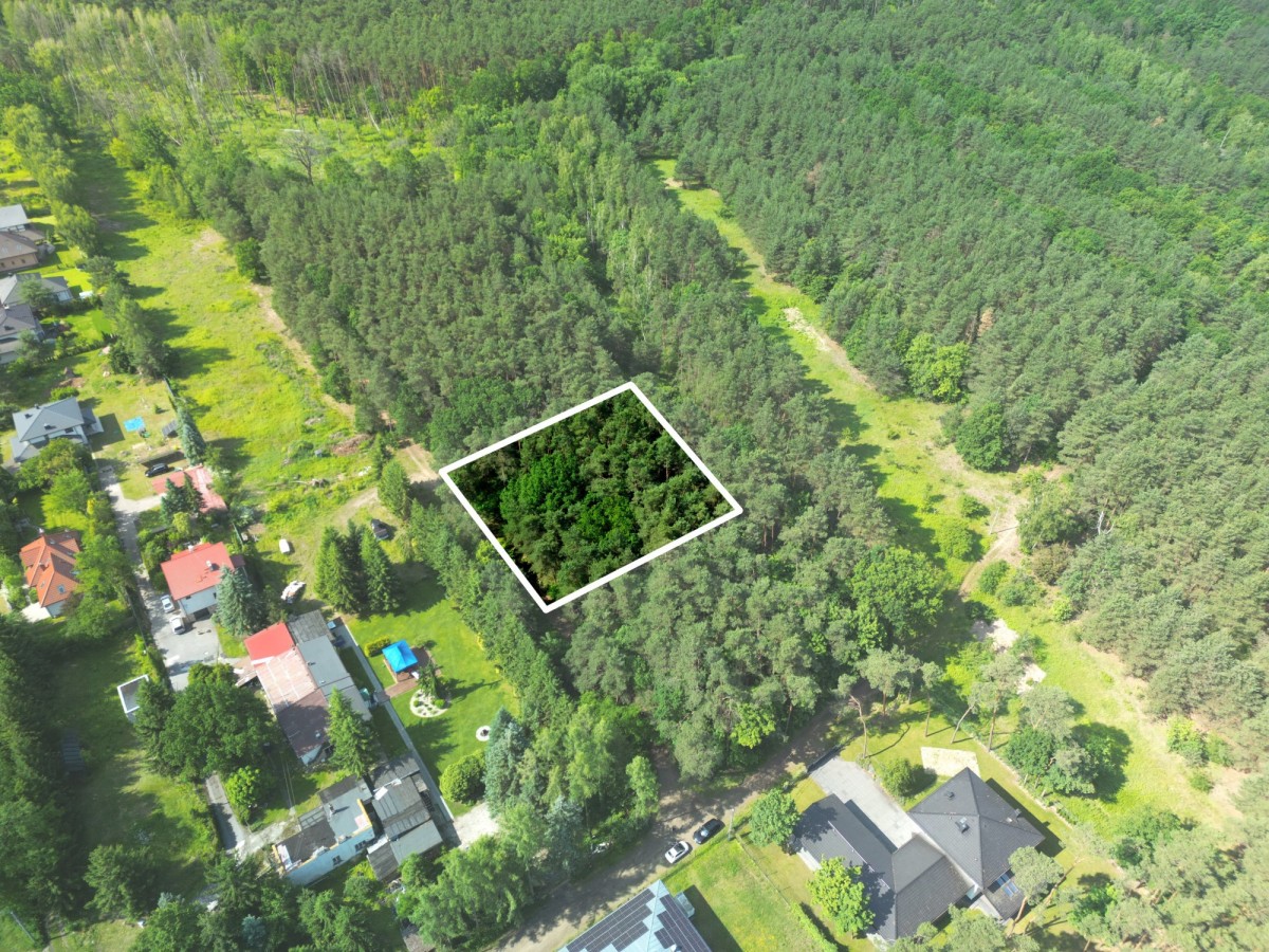 Działka leśna | Hornówek, Izabelin C | 2000 m2