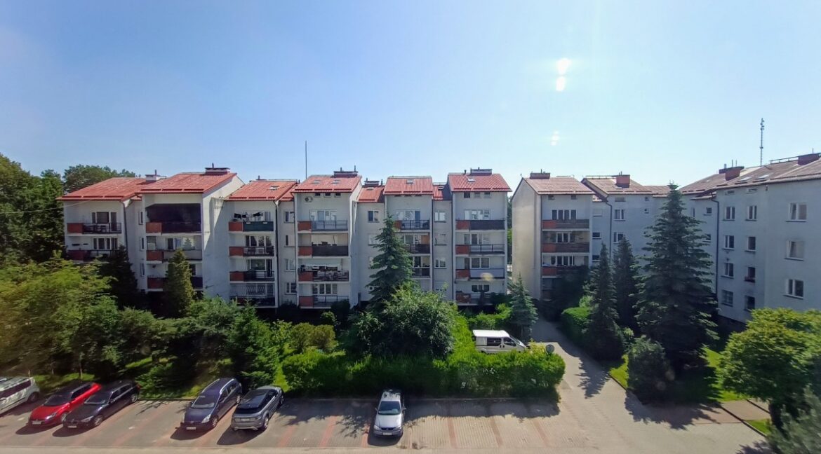 23936140