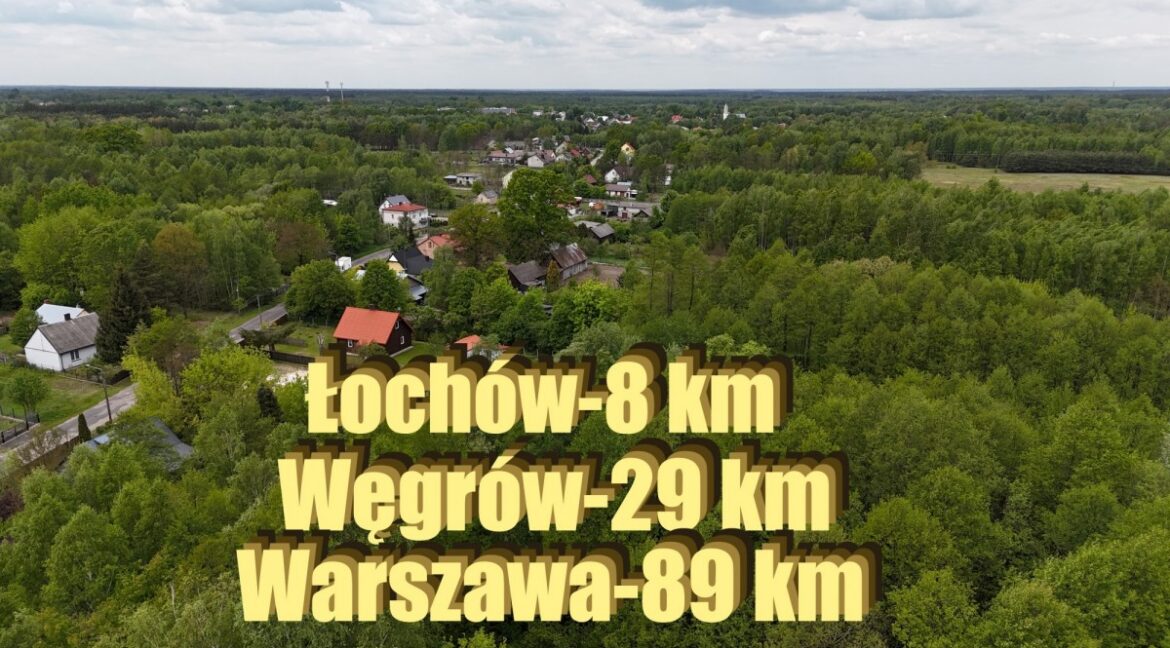 23969409