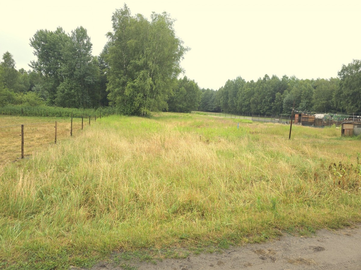 Cisza, spokój, las, woda, a do Wa-wy 30 minut S2,