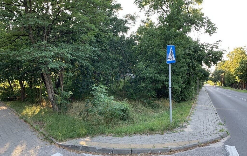 23982541