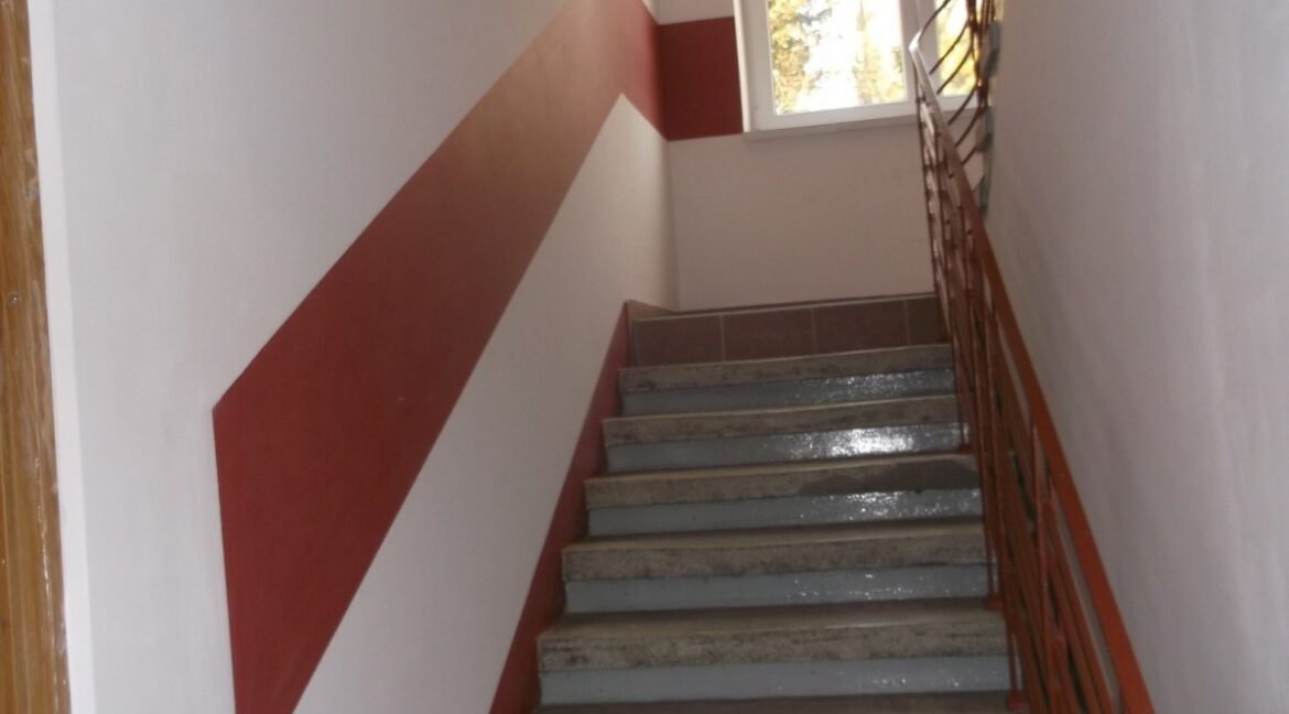 23989141
