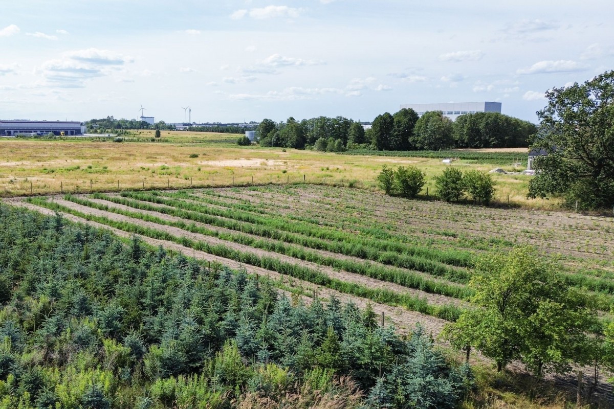 Działka budowlana 1215m2 Mszczonów